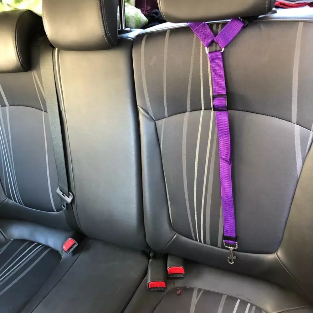 Solid 2 in 1 Dog Car Seatbelt Lead Leash Safety Belt - Picture 3 of 7